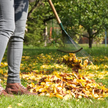 Prace w ogrodzie na jesień - zagospodaruj odpady